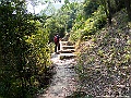 IMG_6322