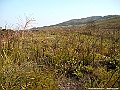 IMG_6336