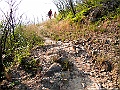 IMG_6337
