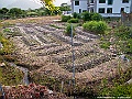 IMG_6341