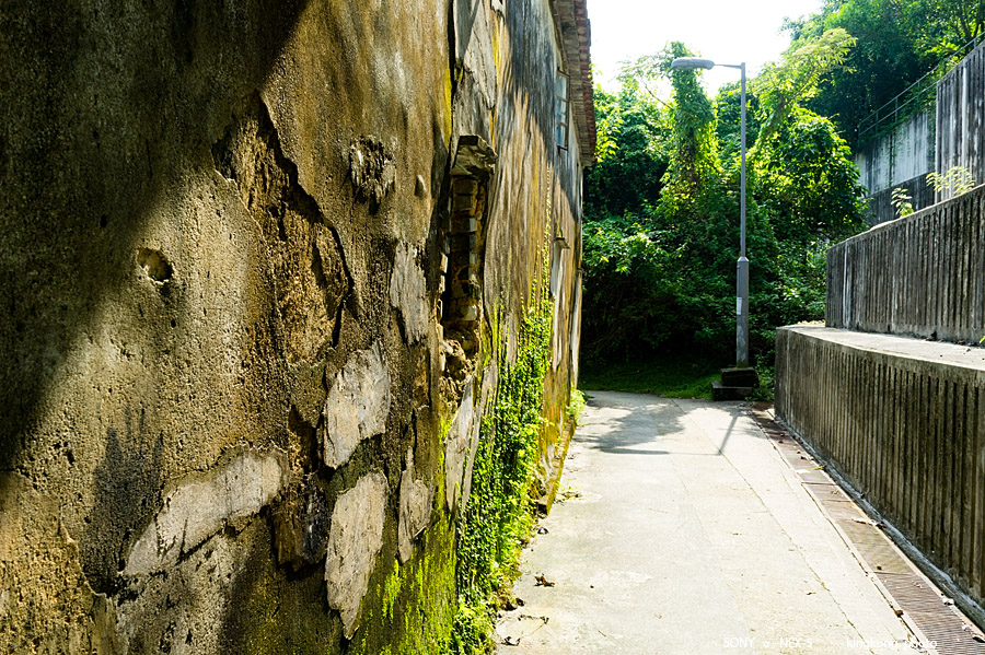 _DSC6888.jpg - SONY DSC