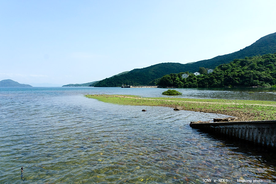 _DSC6902.jpg - SONY DSC