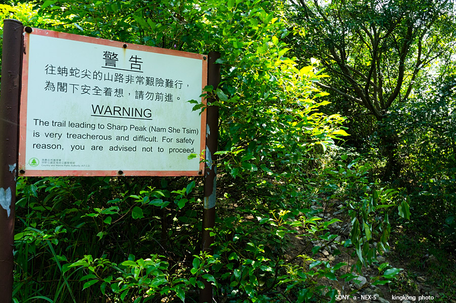 _DSC6909.jpg - SONY DSC