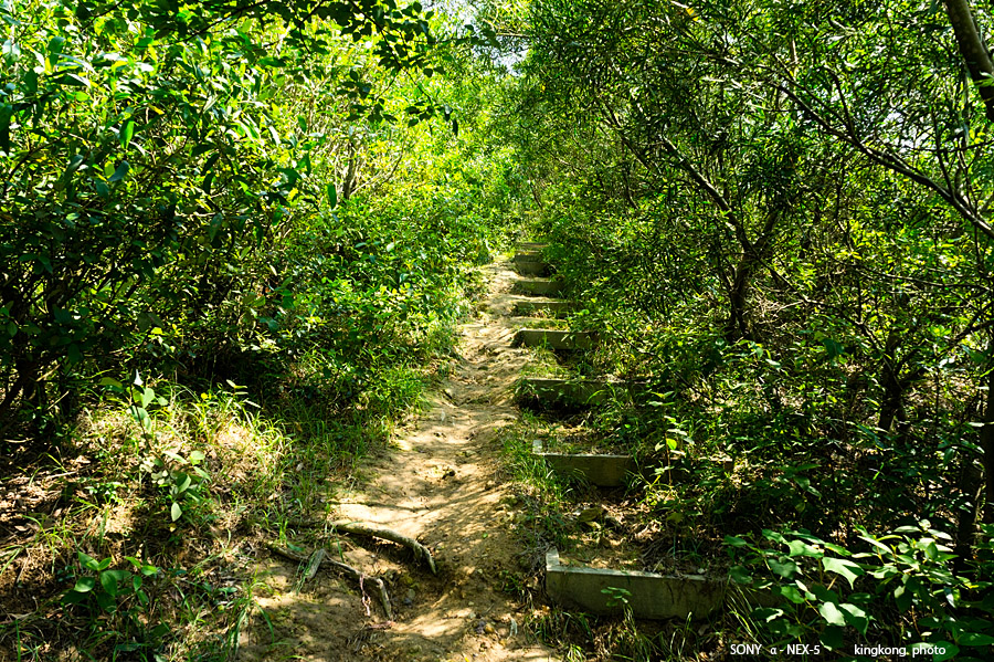 _DSC6911.jpg - SONY DSC