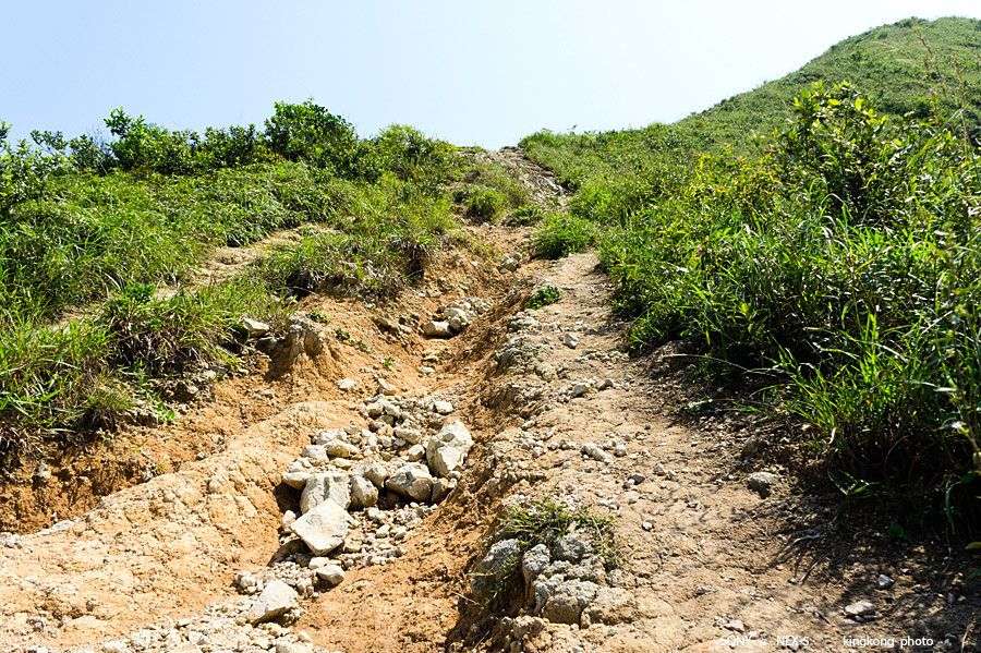 _DSC6928.jpg - SONY DSC