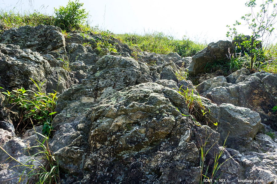 _DSC6936.jpg - SONY DSC