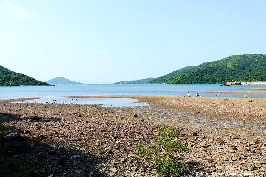 _DSC7014.jpg - SONY DSC