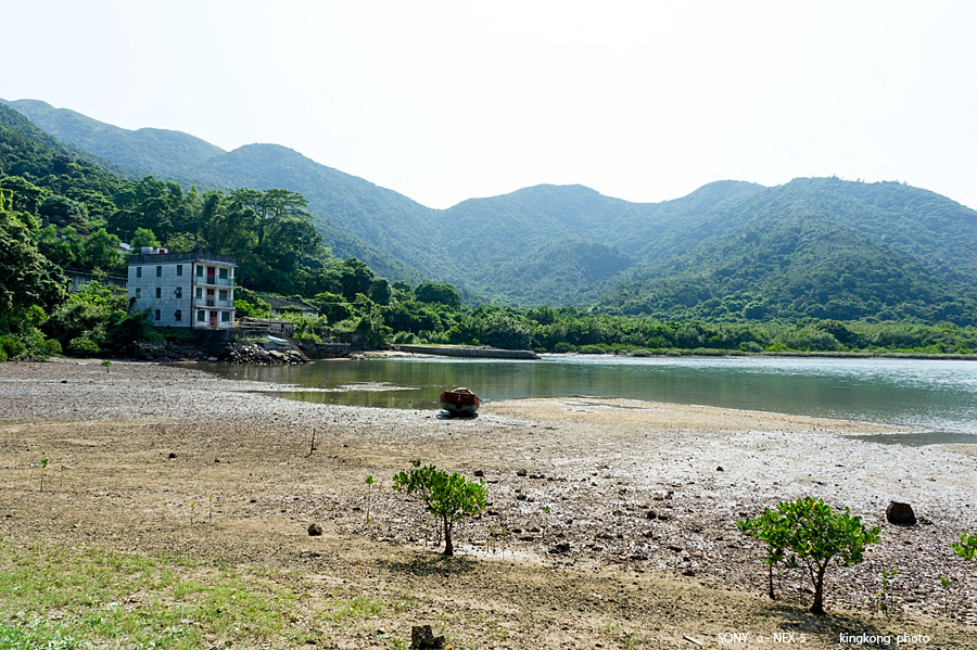 _DSC7019.jpg - SONY DSC