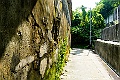 _DSC6888