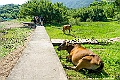 _DSC6897