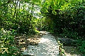 _DSC6907