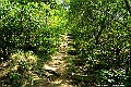 _DSC6911