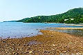 _DSC7017