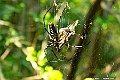 _DSC7022