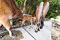 _DSC8177