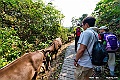 _DSC8182