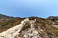 _DSC8243