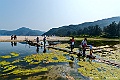 _DSC8256