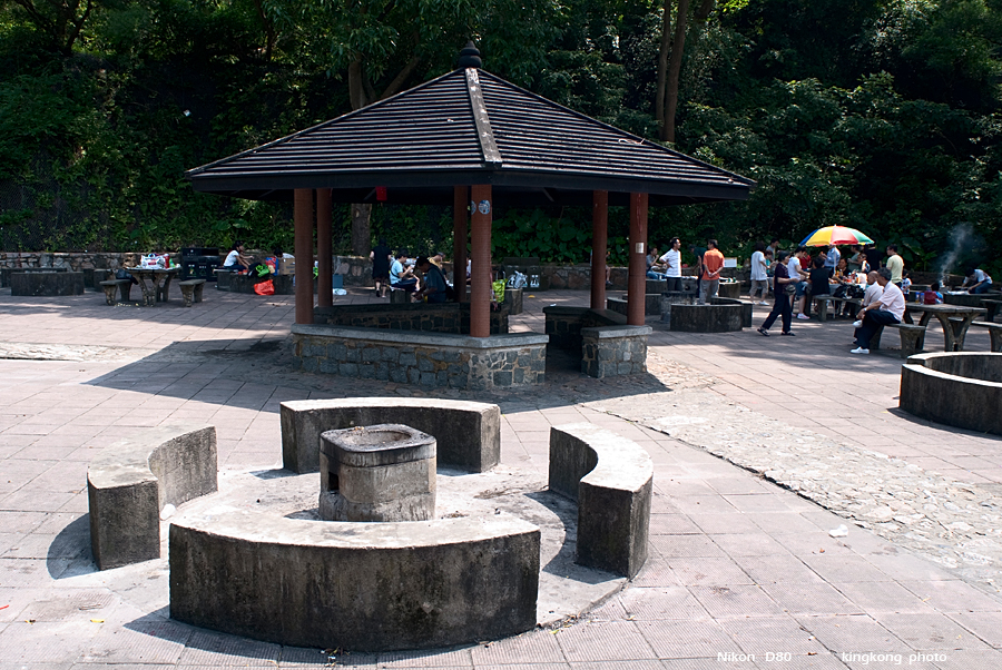 NeedleHill115957.JPG - 針山 - 麥理浩徑7段