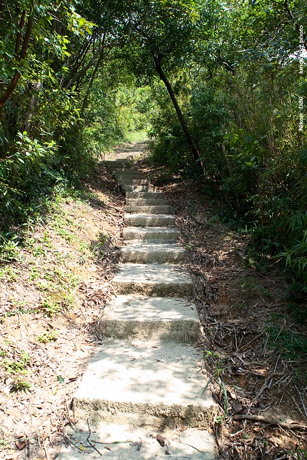 NeedleHill122404.JPG - 針山 - 麥理浩徑7段