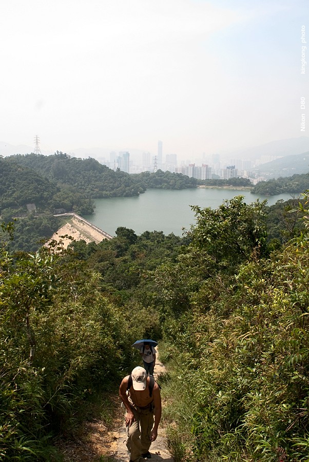 NeedleHill122934.JPG - 針山 - 麥理浩徑7段