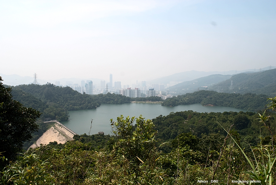 NeedleHill123119.JPG - 針山 - 麥理浩徑7段