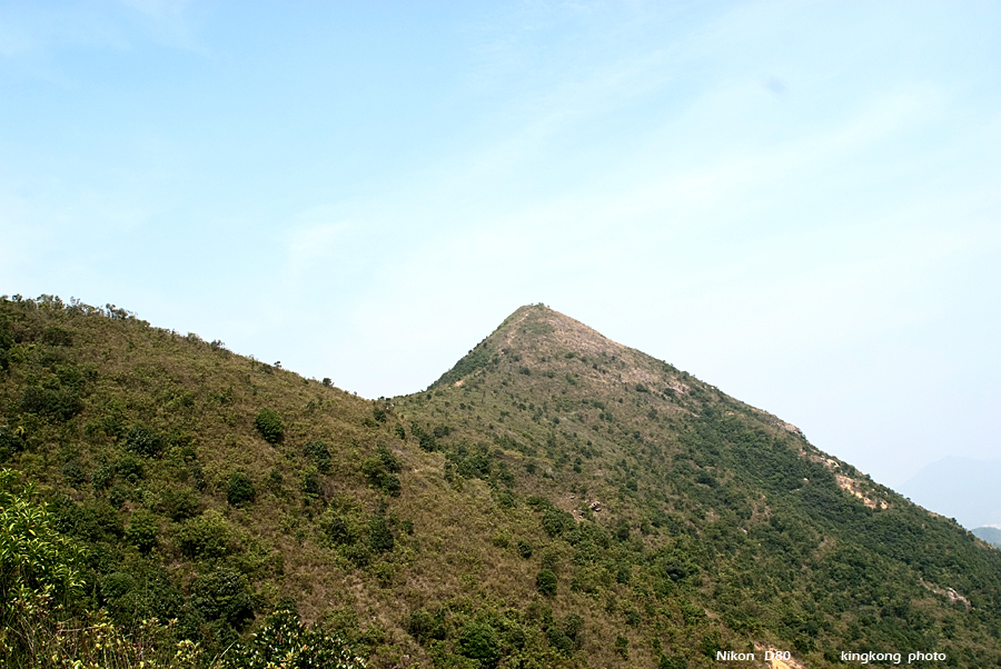 NeedleHill132543.JPG - 針山 - 麥理浩徑7段