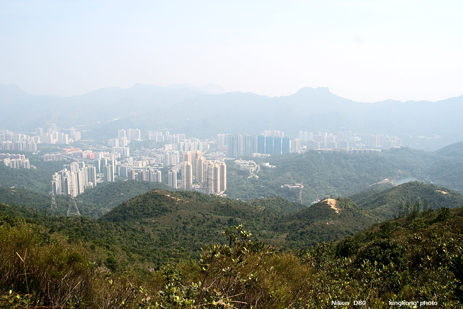 NeedleHill133032.JPG - 針山 - 麥理浩徑7段