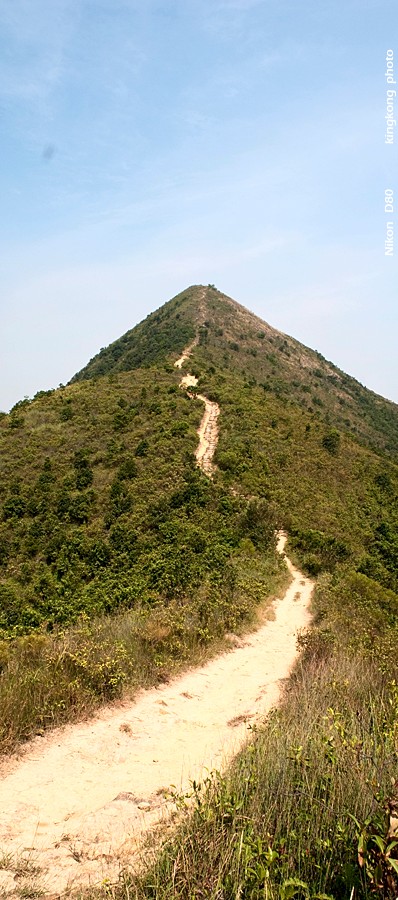 NeedleHill133420.JPG - 針山 - 麥理浩徑7段