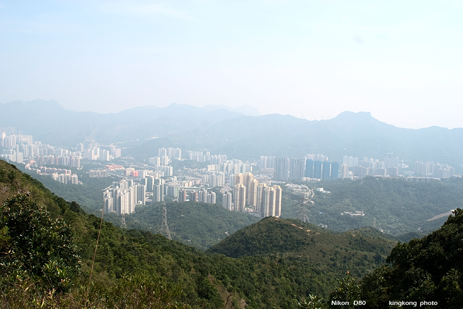 NeedleHill133528.JPG - 針山 - 麥理浩徑7段