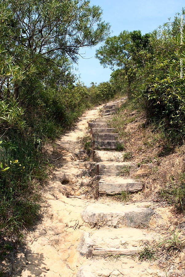 NeedleHill133619.JPG - 針山 - 麥理浩徑7段