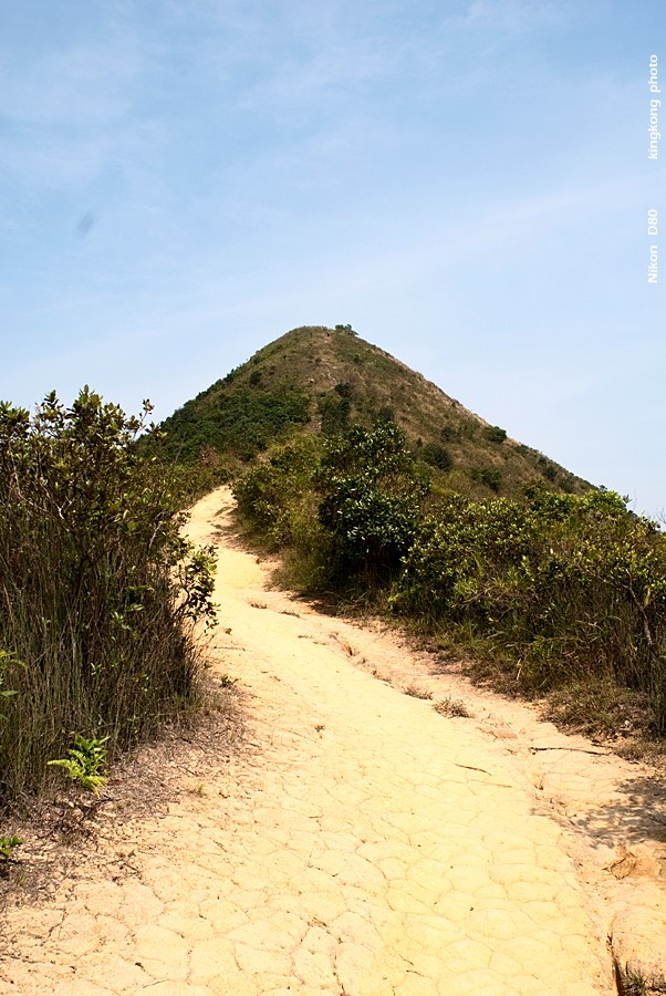 NeedleHill133911.JPG - 針山 - 麥理浩徑7段