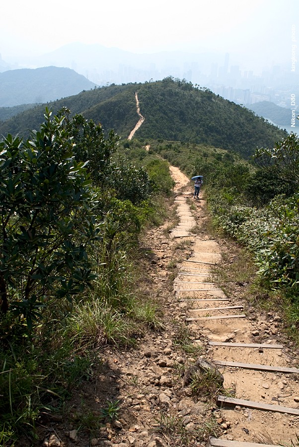 NeedleHill134259.JPG - 針山 - 麥理浩徑7段