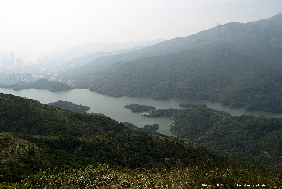 NeedleHill135013.JPG - 針山 - 麥理浩徑7段