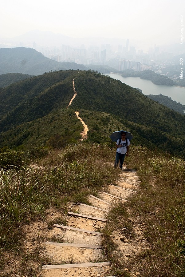 NeedleHill135052.JPG - 針山 - 麥理浩徑7段