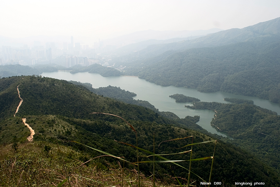 NeedleHill135607.JPG - 針山 - 麥理浩徑7段