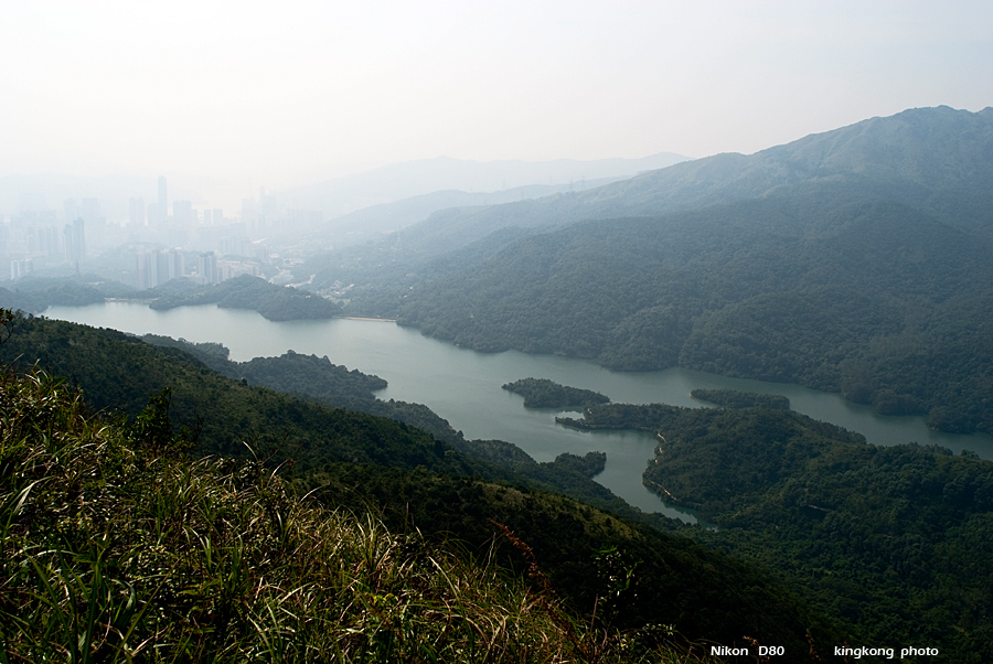 NeedleHill141014.JPG - 針山 - 麥理浩徑7段