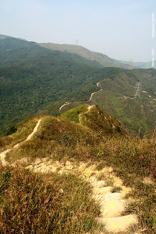 NeedleHill141034.JPG - 針山 - 麥理浩徑7段