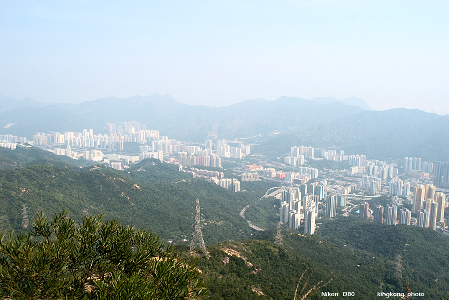 NeedleHill142016.JPG - 針山 - 麥理浩徑7段