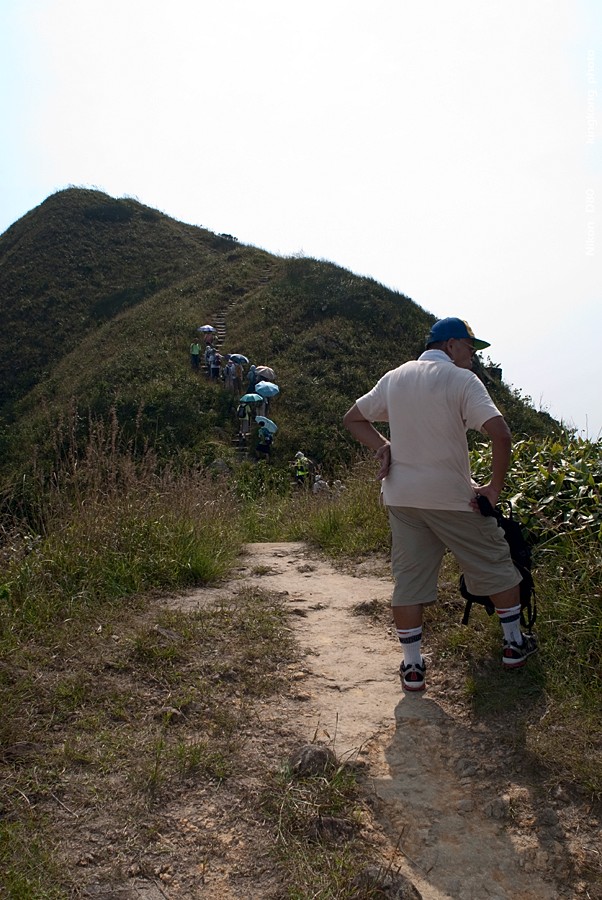 NeedleHill142146.JPG - 針山 - 麥理浩徑7段