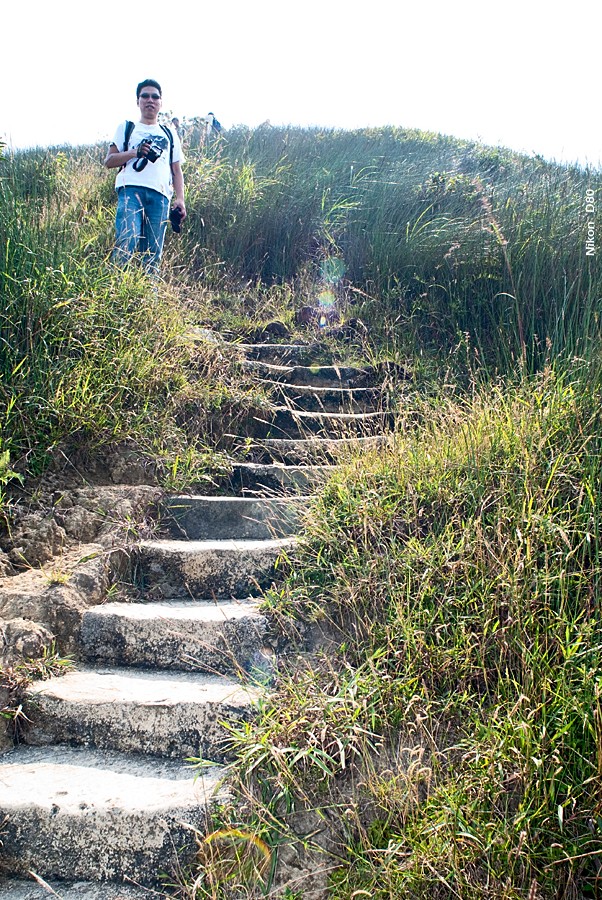 NeedleHill142926.JPG - 針山 - 麥理浩徑7段