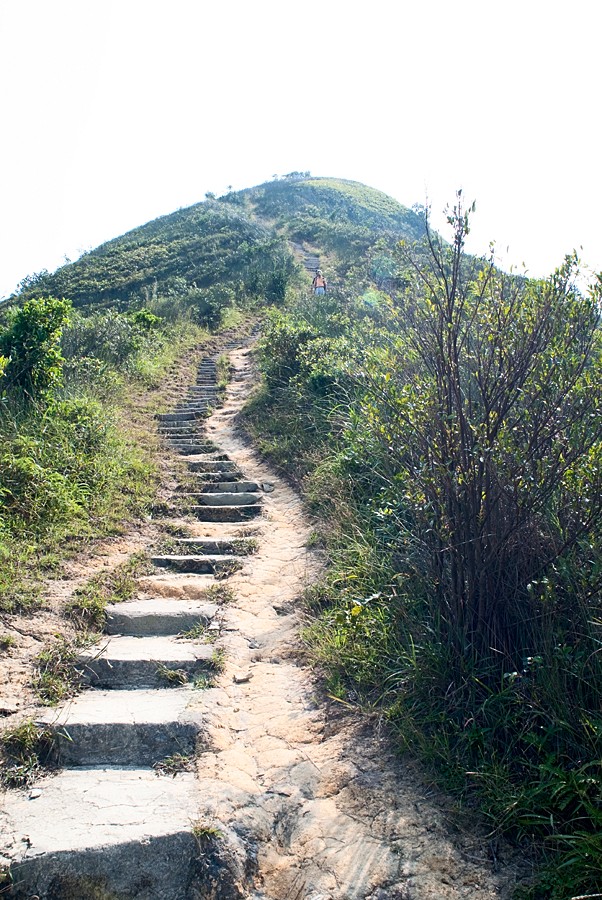 NeedleHill143403.JPG - 針山 - 麥理浩徑7段