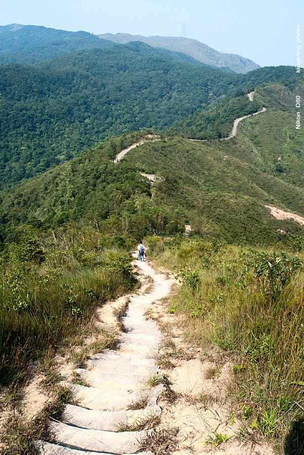NeedleHill143501.JPG - 針山 - 麥理浩徑7段