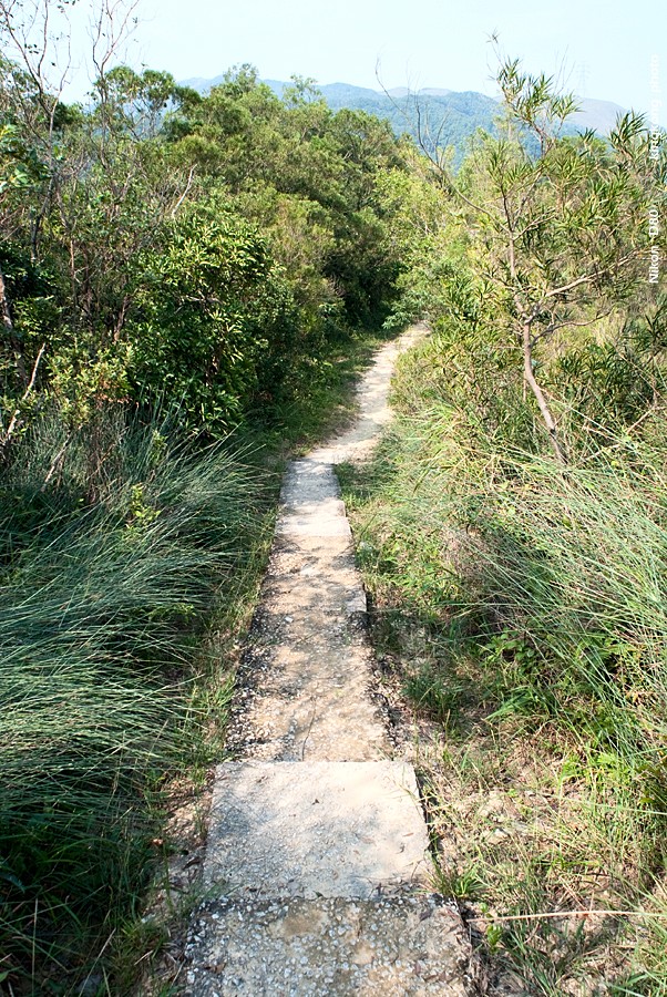 NeedleHill143927.JPG - 針山 - 麥理浩徑7段