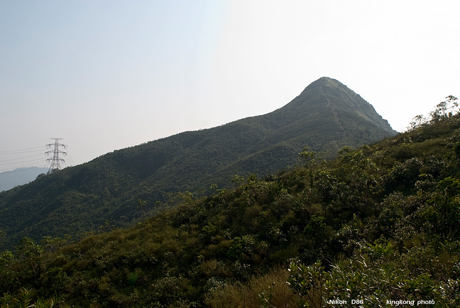NeedleHill144938.JPG - 針山 - 麥理浩徑7段