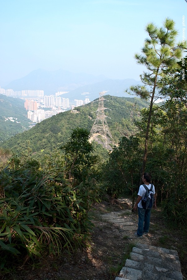 NeedleHill152732.JPG - 針山 - 麥理浩徑7段