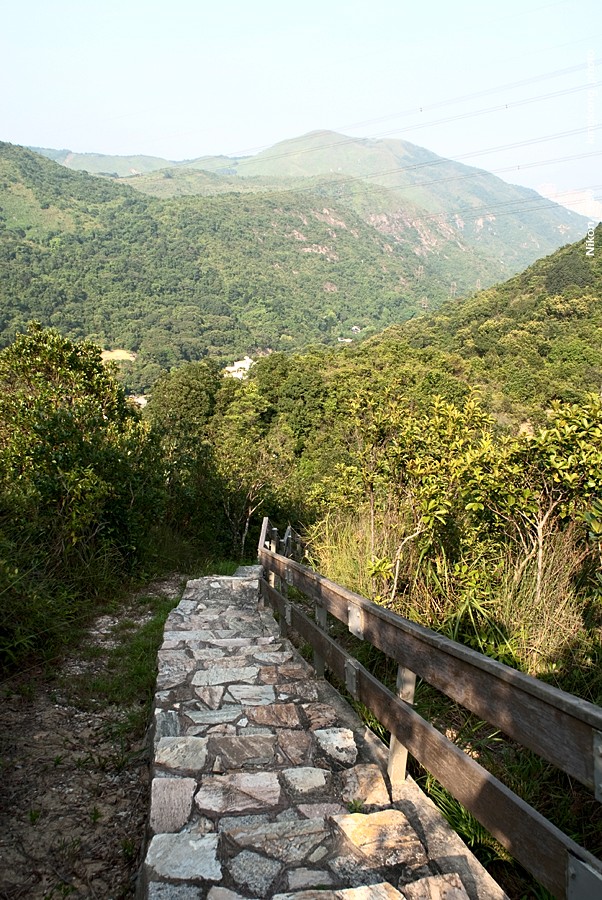 NeedleHill153109.JPG - 針山 - 麥理浩徑7段