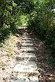 NeedleHill122404