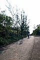 NeedleHill145533