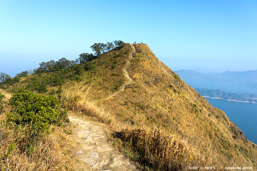 _DSC6582.jpg - SONY DSC